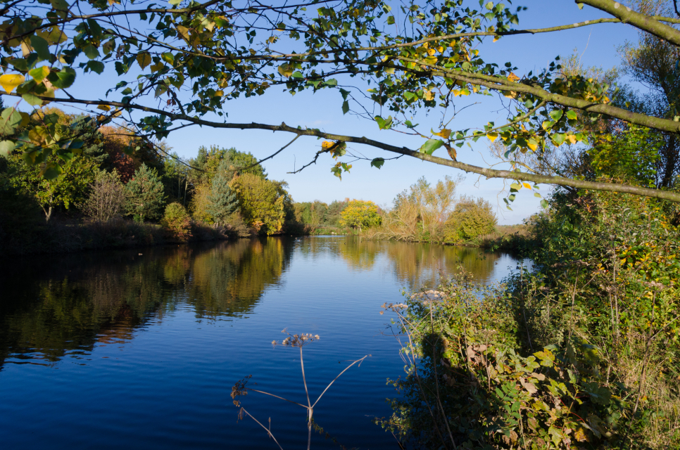 Wetland-inspired words to mark National Poetry Day